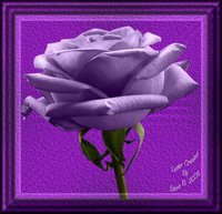 Debra Winter