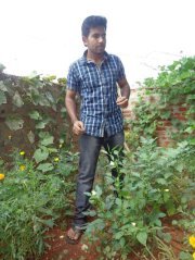 Santosh Pillodi