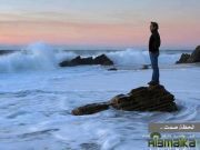 محمد الخولى