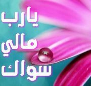 النورس الحزين