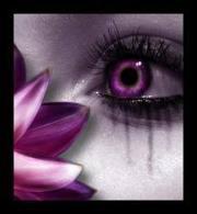 ستار والكل مني يغار