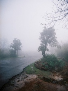 الاء فحماوي