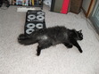 Tom