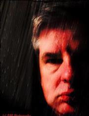 Steve Reeve