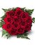 Divya S...
