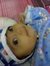 Kazi Ly...