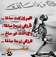 Mohamed Haoues