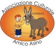 Amico Asino