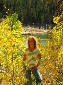 Wendy Harms
