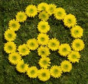 Michael Flowers