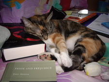 Just Passing Through