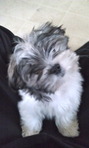 Jacob