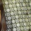 Sabina Islam reshma