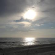 Paige Arrington-wright