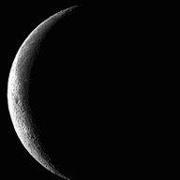 Deborah Morgan-nelson