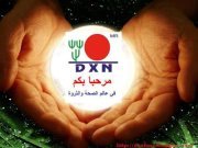 يحيى العماري