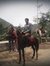 Ajay Tayal