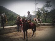 Ajay Tayal