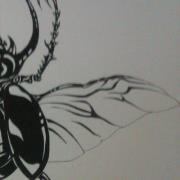 Mauro Beltran collignon