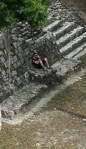 Peter Lammens torres