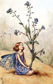 Ruth