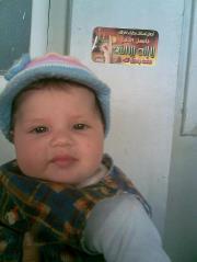 الشيخ عبدالجواد