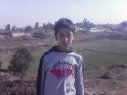 Syed Alyian