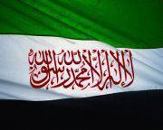 الحوراني الثائر