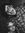 David Caro