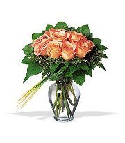 أحمد أبوزرد