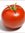 Un Tomate