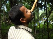 Chandran Mullankolli