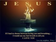 Walkingpurposed Destiny