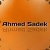 Ahmed Sadek