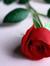 Hasnaa ...