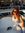 Jenny V...