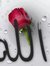 Sarwat ...