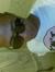 Bongan Sibande