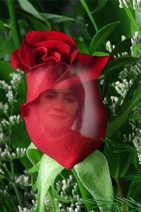 Donna Whatley