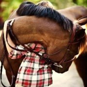 رذاذ السماءء