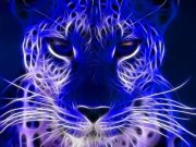 Ashish Choudhary