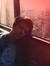 Mostafa...