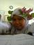 Intan Rise