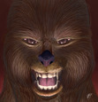 Raistlin (Rai)