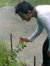 Md Tariqul