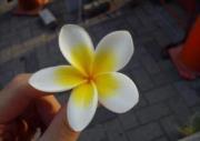 郁恬 蘇