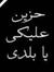 Amneh S...