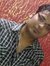 Bhaskar...