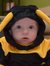 Josh