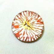 Ibrahim Bin hussain ali